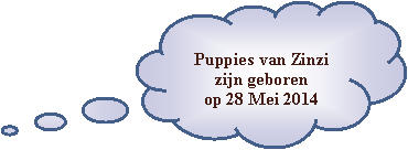 Wolkvormige toelichting: Puppies van Zinzi zijn geboren op 28 Mei 2014
