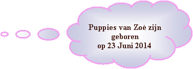 Wolkvormige toelichting: Puppies van Zoè zijn geboren op 23 Juni 2014
